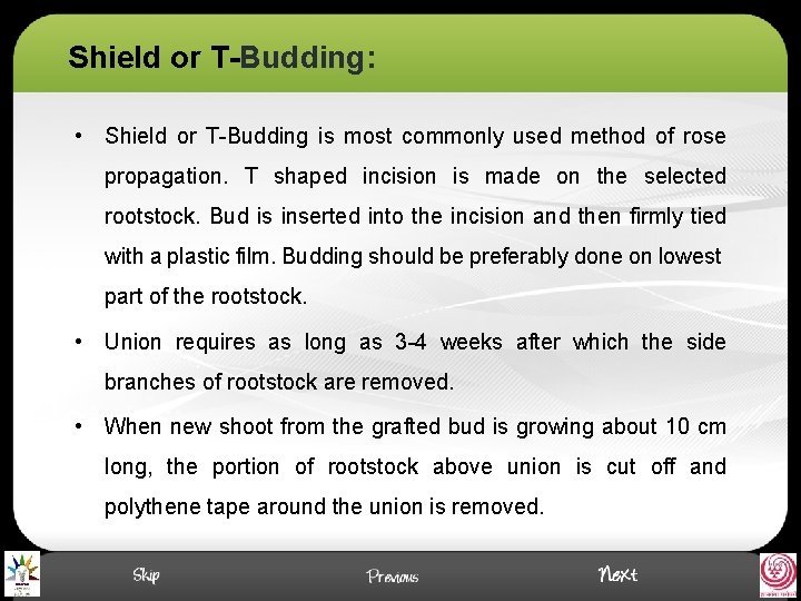 Shield or T-Budding: • Shield or T-Budding is most commonly used method of rose