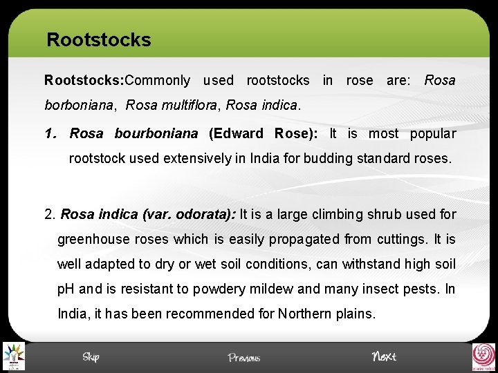 Rootstocks: Commonly used rootstocks in rose are: Rosa borboniana, Rosa multiflora, Rosa indica. 1.