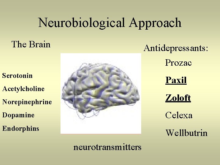Neurobiological Approach The Brain Antidepressants: Prozac Serotonin Paxil Acetylcholine Norepinephrine Zoloft Dopamine Celexa Endorphins