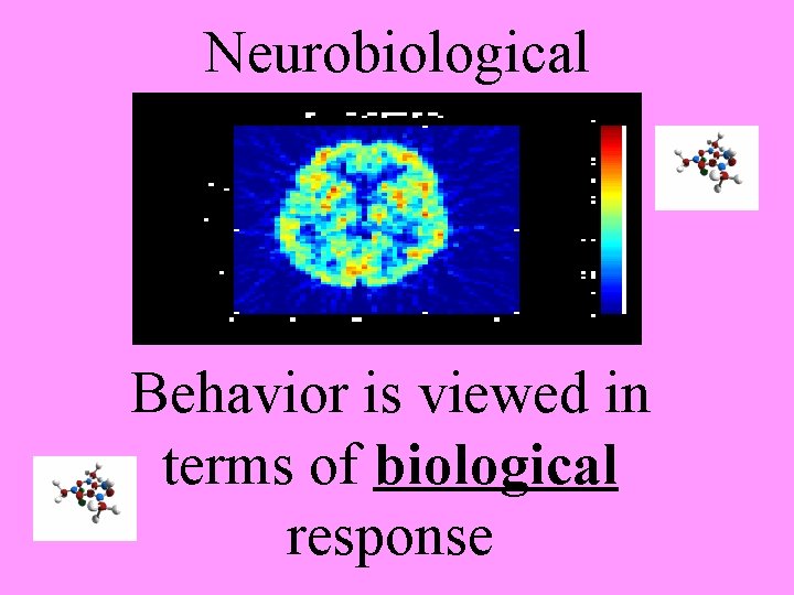 Neurobiological Behavior is viewed in terms of biological response 