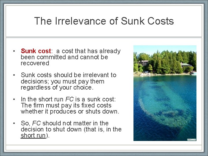 The Irrelevance of Sunk Costs • Sunk cost: a cost that has already been