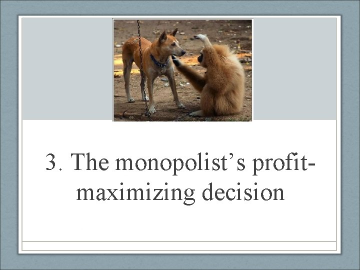 3. The monopolist’s profitmaximizing decision 
