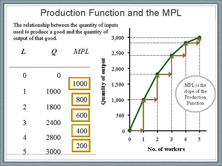 Production Function and the MPL The relationship between the quantity of inputs used to