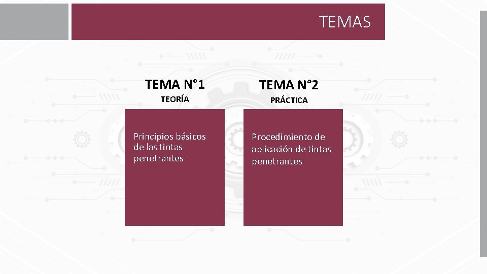 TEMAS TEMA N° 1 TEMA N° 2 TEORÍA PRÁCTICA Principios básicos de las tintas