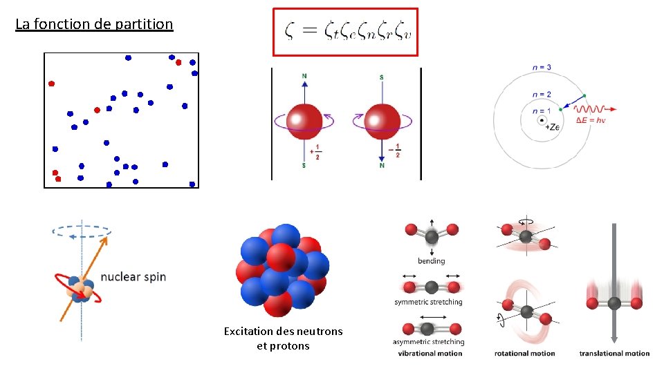 La fonction de partition Excitation des neutrons et protons 