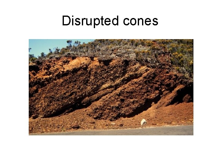 Disrupted cones 