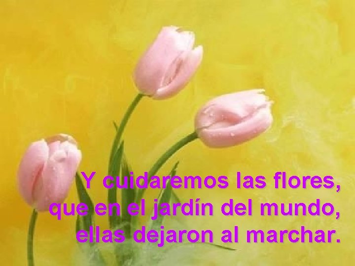 Y cuidaremos las flores, que en el jardín del mundo, ellas dejaron al marchar.