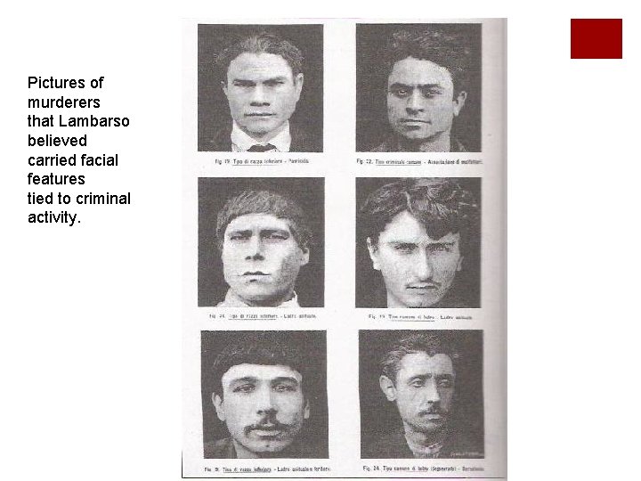 Pictures of murderers that Lambarso believed carried facial features tied to criminal activity. 