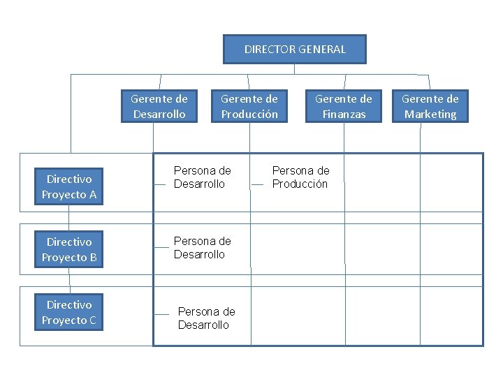 DIRECTOR GENERAL Gerente de Desarrollo Directivo Proyecto A Directivo Proyecto B Directivo Proyecto C