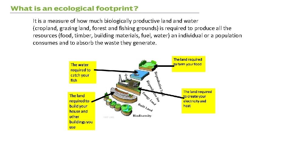 It is a measure of how much biologically productive land water (cropland, grazing land,