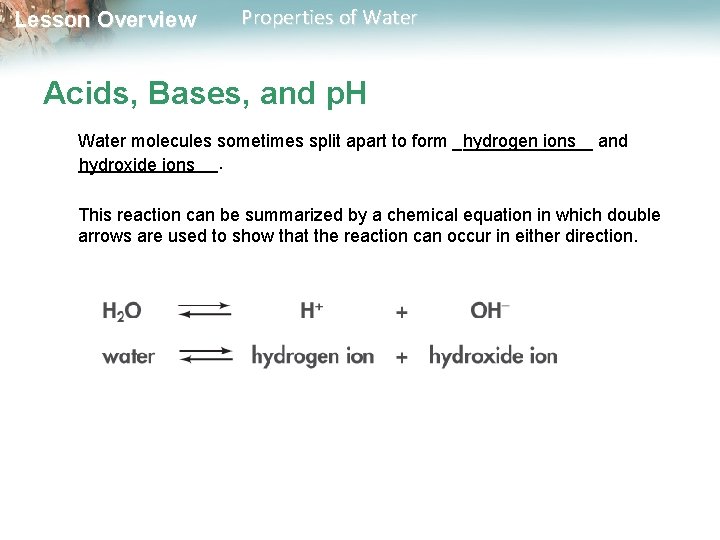 Lesson Overview Properties of Water Acids, Bases, and p. H Water molecules sometimes split