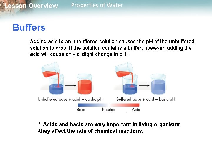 Lesson Overview Properties of Water Buffers Adding acid to an unbuffered solution causes the