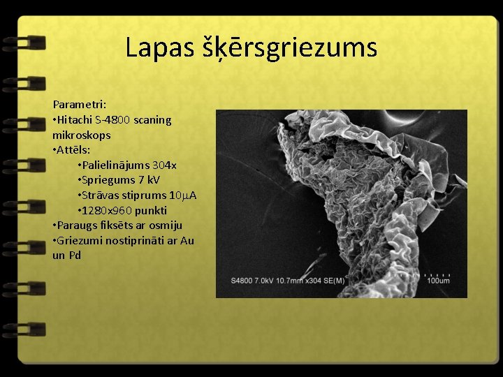 Lapas šķērsgriezums Parametri: • Hitachi S-4800 scaning mikroskops • Attēls: • Palielinājums 304 x