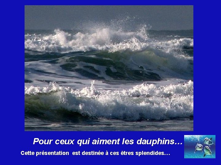 Pour ceux qui aiment les dauphins… Cette présentation est destinée à ces êtres splendides…