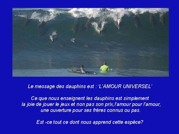 Le message des dauphins est : ‘L’AMOUR UNIVERSEL’ Ce que nous enseignent les dauphins