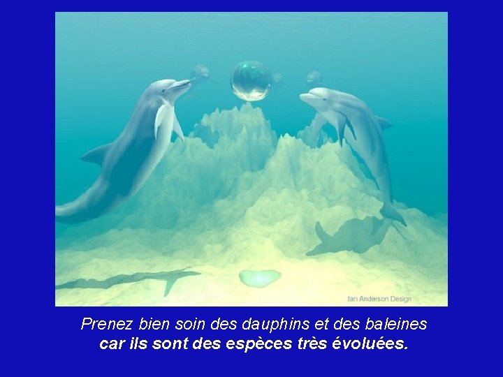 Prenez bien soin des dauphins et des baleines car ils sont des espèces très