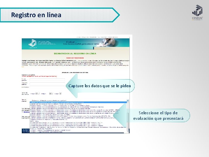 Registro en línea Capture los datos que se le piden Seleccione el tipo de
