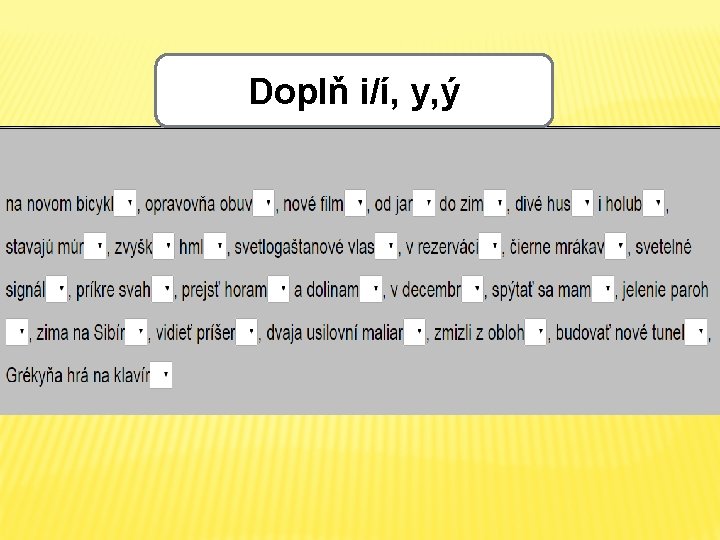 Doplň i/í, y, ý 