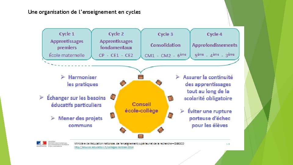 Une organisation de l’enseignement en cycles 