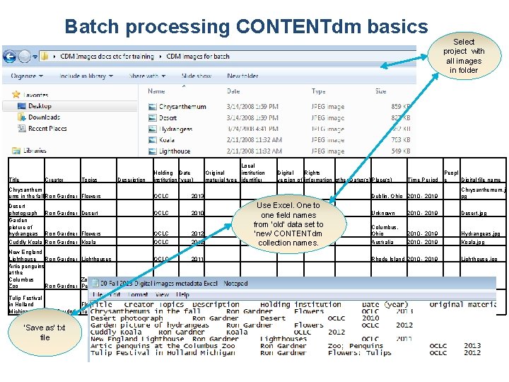 Batch processing CONTENTdm basics Select project with all images in folder Title Creator Topics Batch processing CONTENTdm basics Select project with all images in folder Title Creator Topics