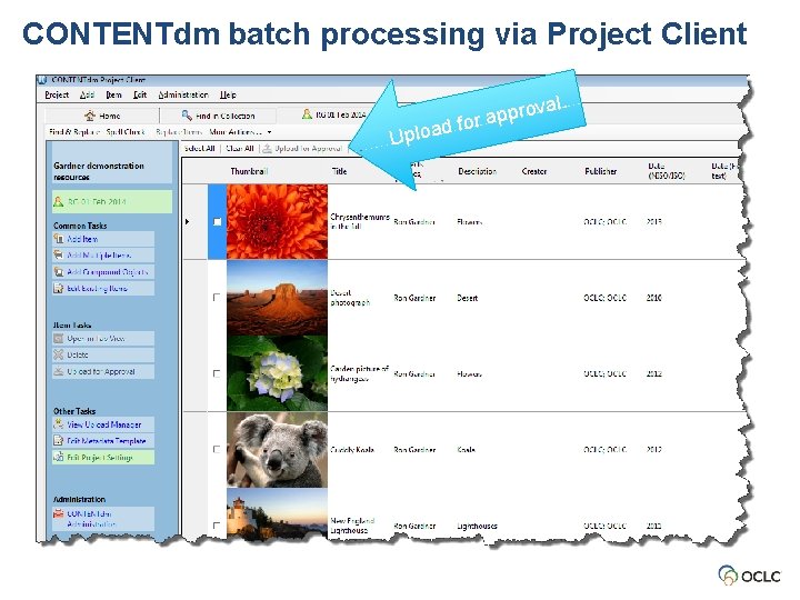 CONTENTdm batch processing via Project Client al. d Uploa rov p p a r CONTENTdm batch processing via Project Client al. d Uploa rov p p a r