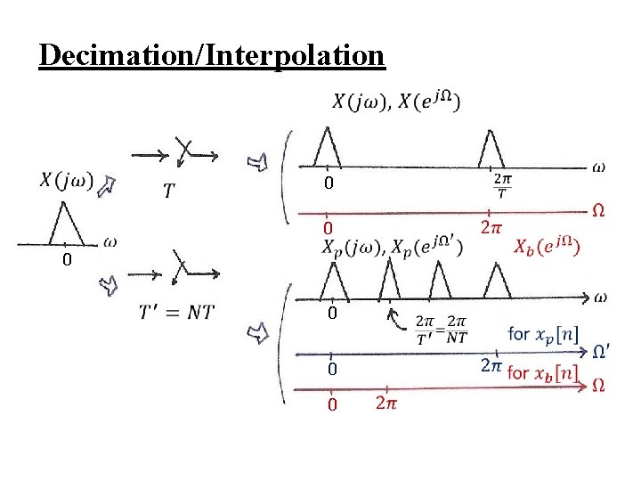 Decimation/Interpolation 0 0 0 