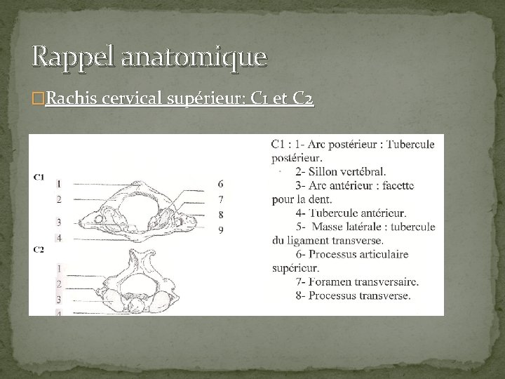 Rappel anatomique �Rachis cervical supérieur: C 1 et C 2 