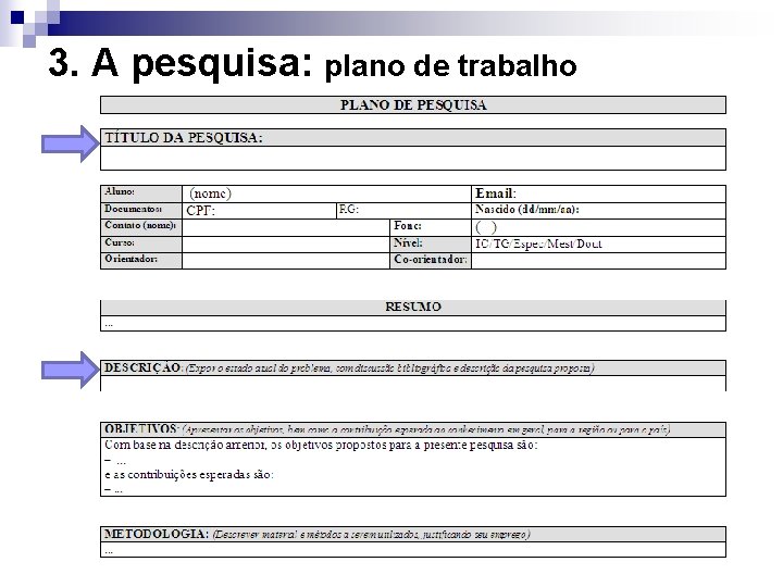 3. A pesquisa: plano de trabalho 