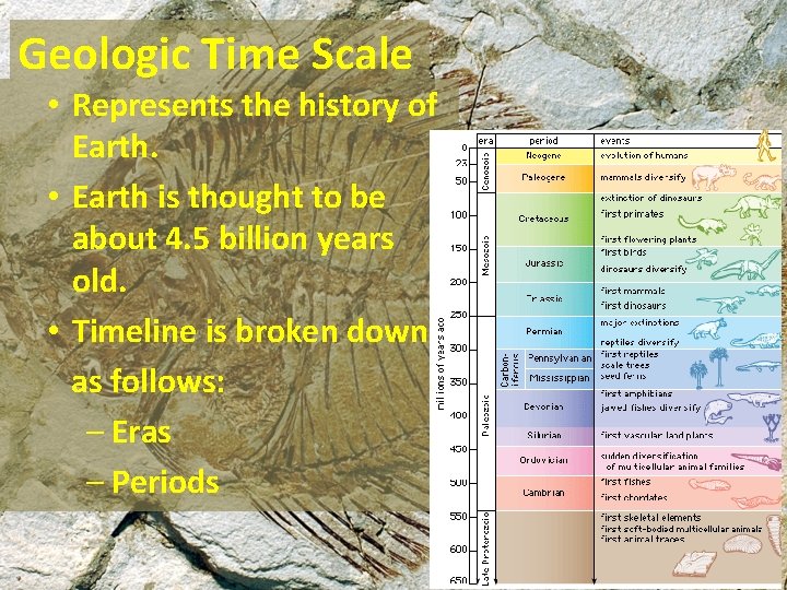 Geologic Time Scale • Represents the history of Earth. • Earth is thought to