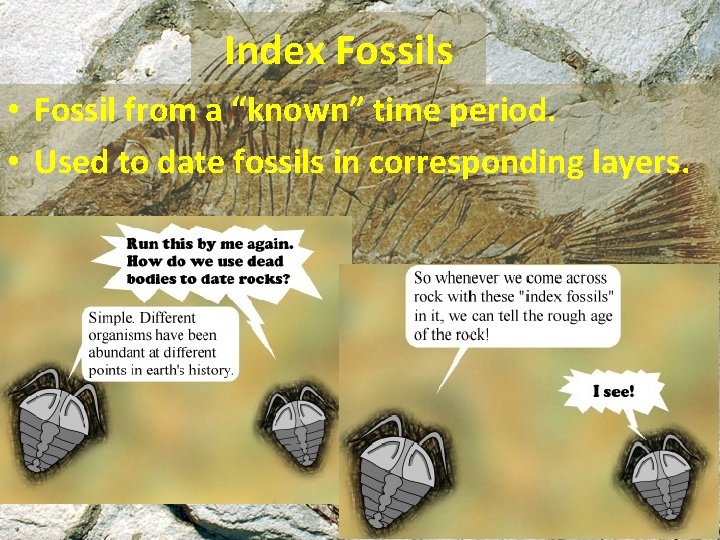 Index Fossils • Fossil from a “known” time period. • Used to date fossils