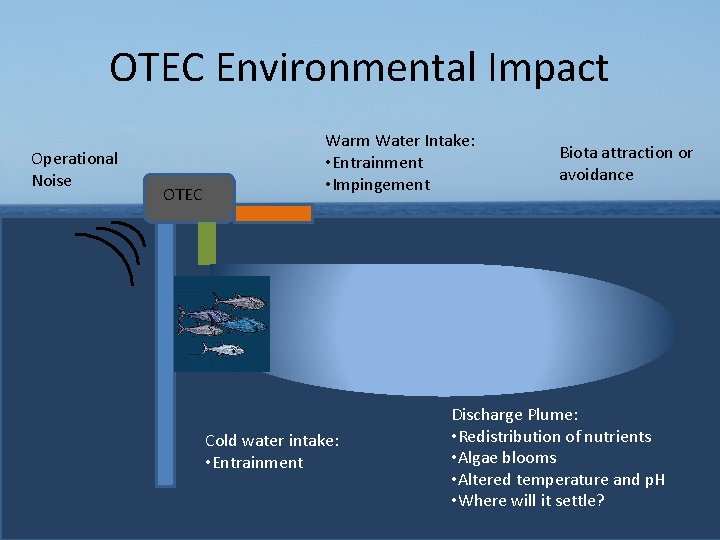 OTEC Environmental Impact Operational Noise OTEC Warm Water Intake: • Entrainment • Impingement Cold