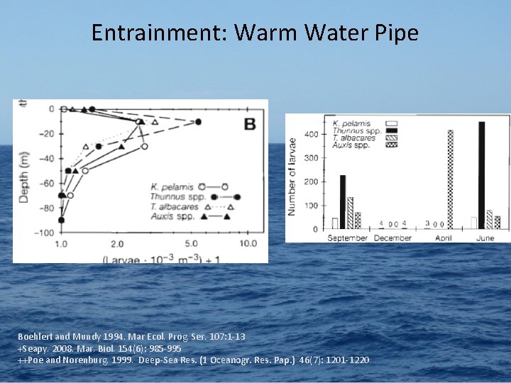 Entrainment: Warm Water Pipe Boehlert and Mundy 1994. Mar Ecol. Prog. Ser. 107: 1