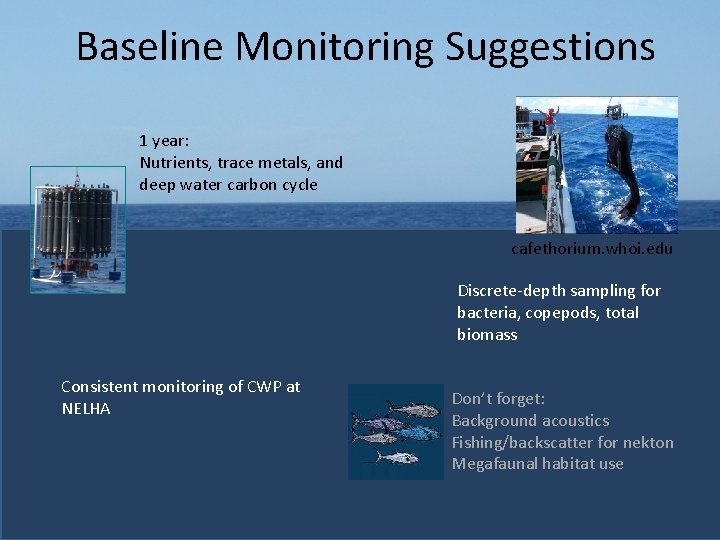 Baseline Monitoring Suggestions 1 year: Nutrients, trace metals, and deep water carbon cycle cafethorium.