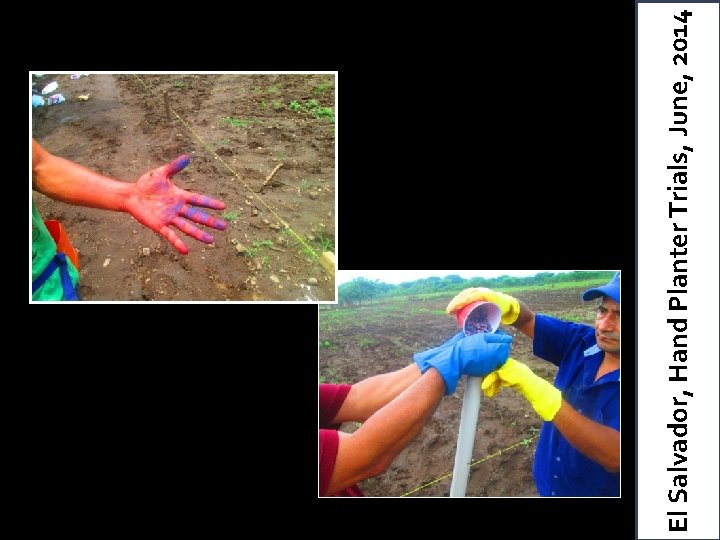 El Salvador, Hand Planter Trials, June, 2014 