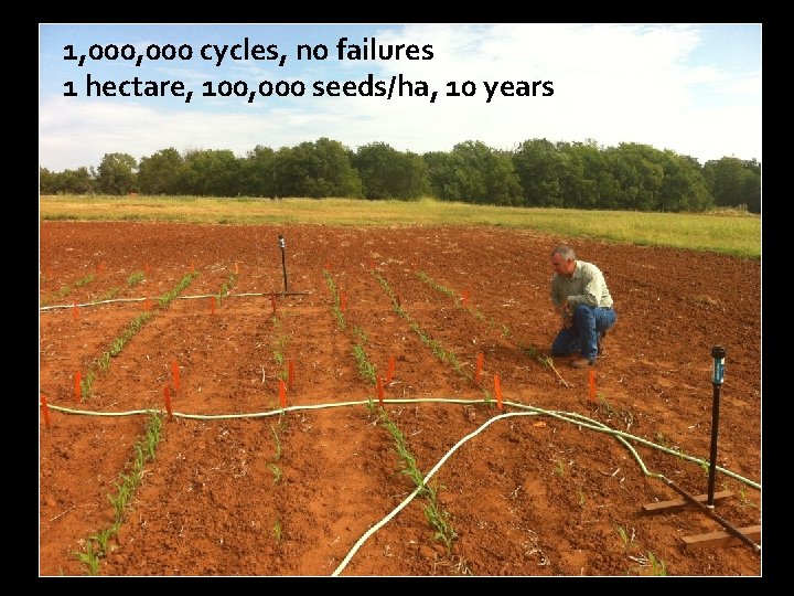 1, 000 cycles, no failures 1 hectare, 100, 000 seeds/ha, 10 years 