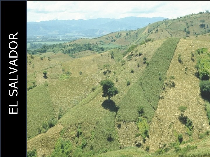 EL SALVADOR 