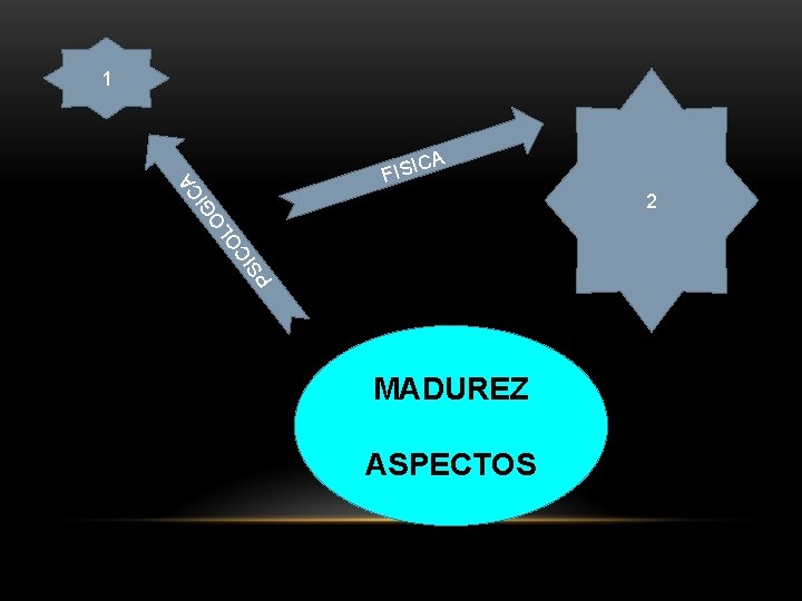 1 2 IC S P O CA I G O L A C FISI