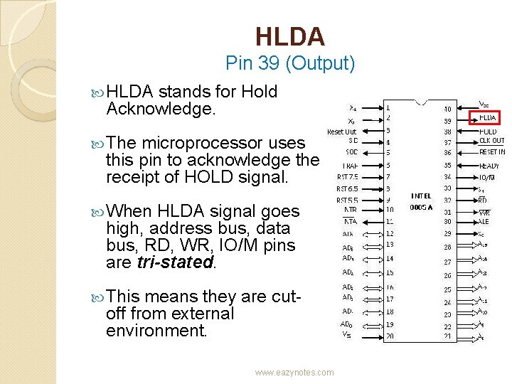 HLDA Pin 39 (Output) HLDA stands for Hold Acknowledge. The microprocessor uses this pin