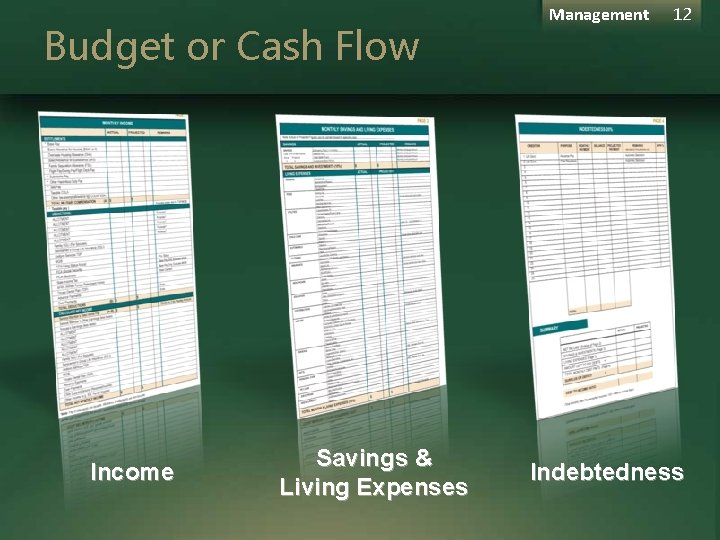 Budget or Cash Flow Income Savings & Living Expenses Management 12 Indebtedness Budget or Cash Flow Income Savings & Living Expenses Management 12 Indebtedness