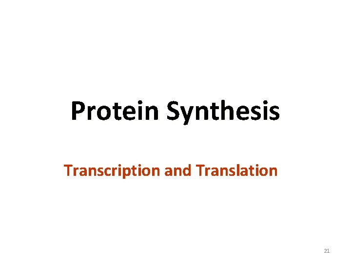 Protein Synthesis Transcription and Translation 21 