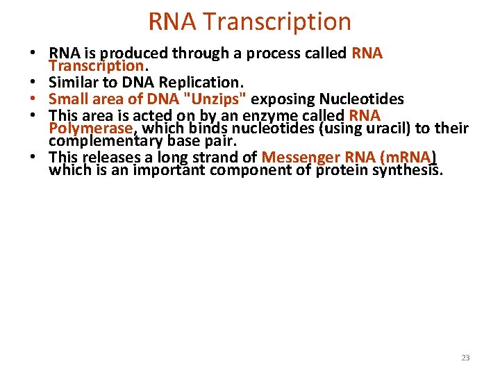 RNA Transcription • RNA is produced through a process called RNA Transcription. • Similar