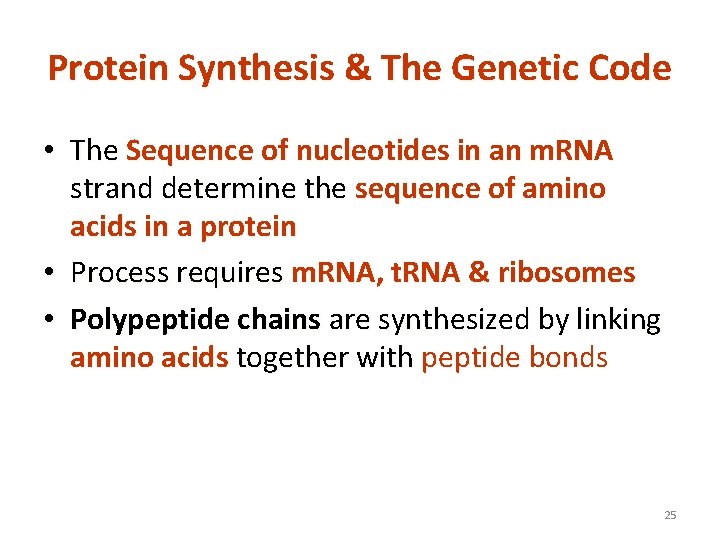 Protein Synthesis & The Genetic Code • The Sequence of nucleotides in an m.