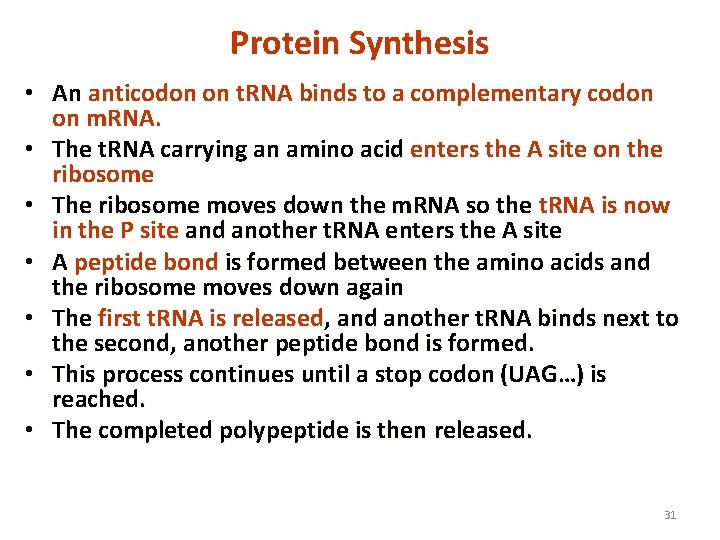Protein Synthesis • An anticodon on t. RNA binds to a complementary codon on