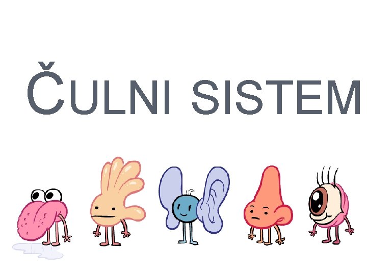 ČULNI SISTEM 