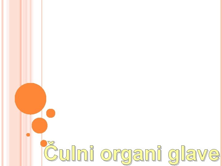 Čulni organi glave 