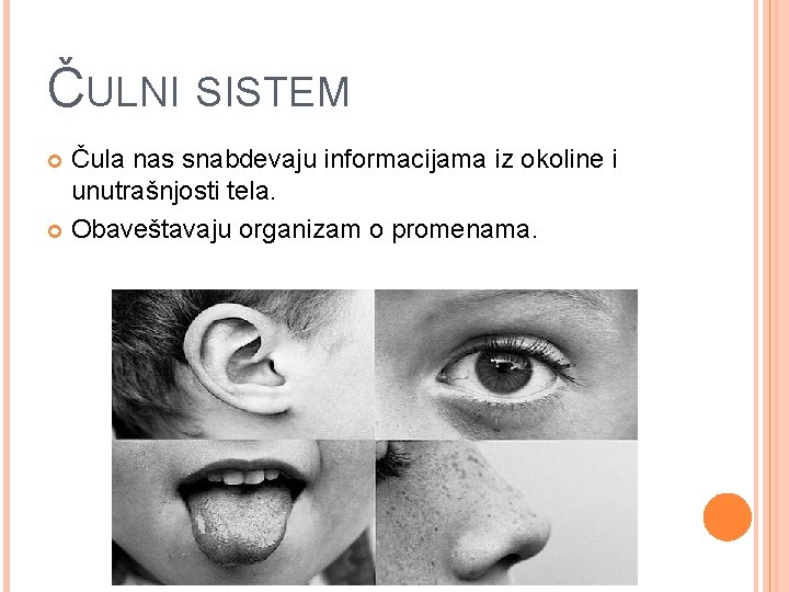 ČULNI SISTEM Čula nas snabdevaju informacijama iz okoline i unutrašnjosti tela. Obaveštavaju organizam o