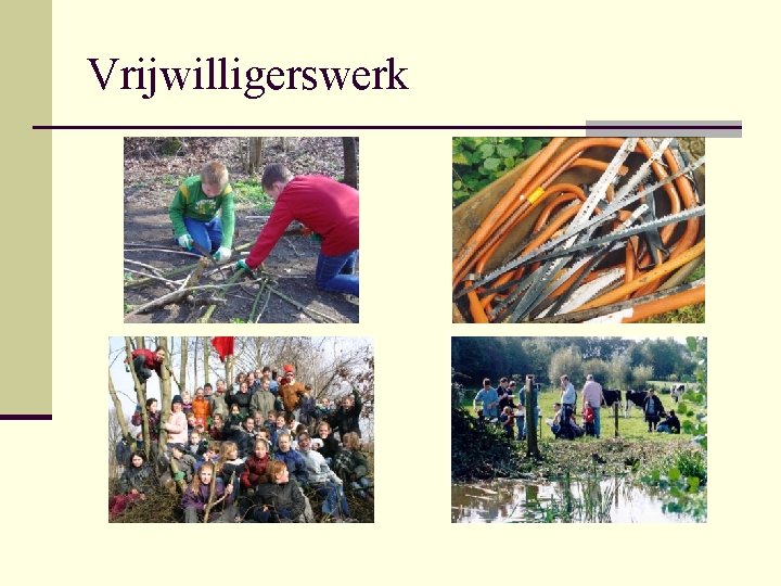 Vrijwilligerswerk 