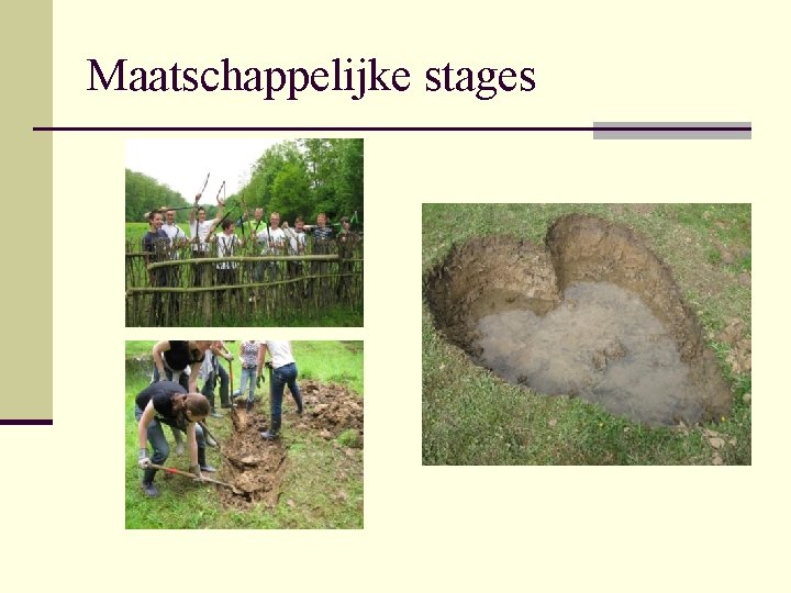 Maatschappelijke stages 