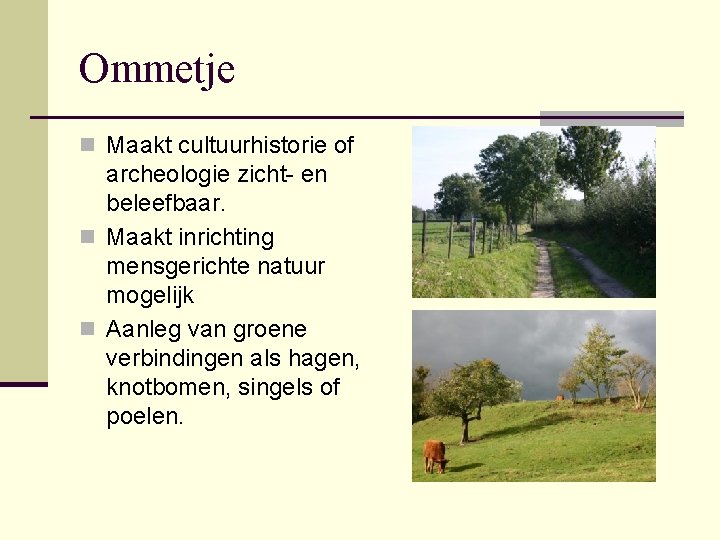 Ommetje n Maakt cultuurhistorie of archeologie zicht- en beleefbaar. n Maakt inrichting mensgerichte natuur