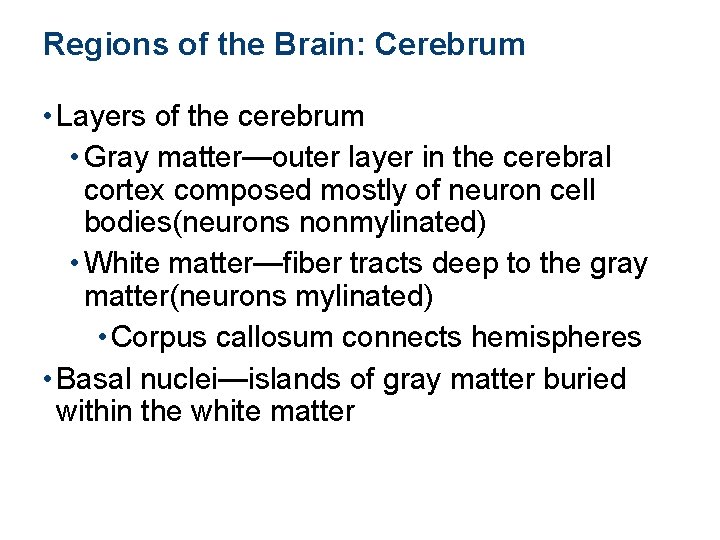 Regions of the Brain: Cerebrum • Layers of the cerebrum • Gray matter—outer layer